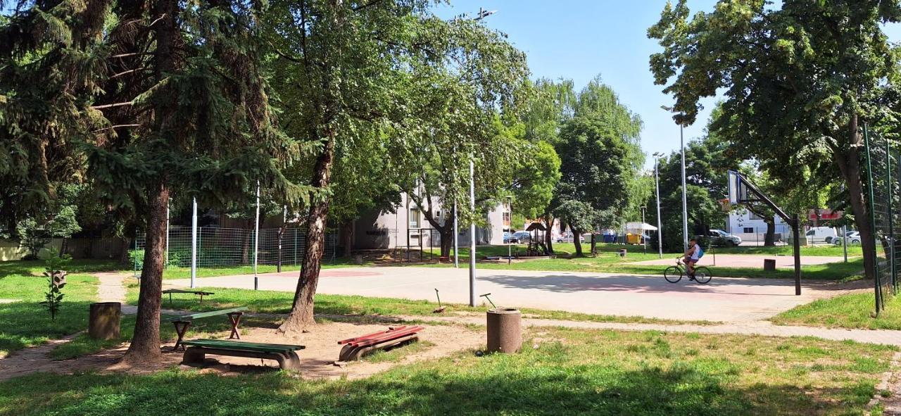 Apartman Zivkovic レスコヴァツ エクステリア 写真