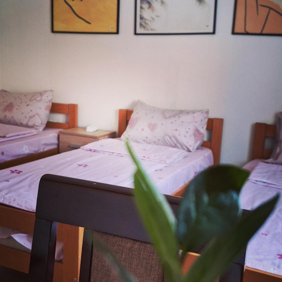 Apartman Zivkovic レスコヴァツ エクステリア 写真